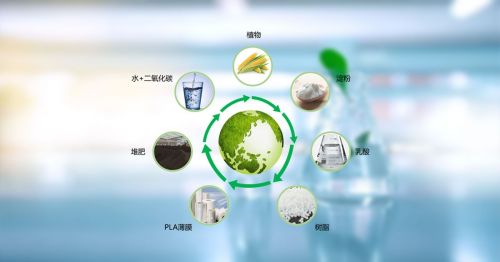 國內首家 廈門長塑成功量產生物基膜材bionly佰恩麗