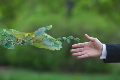 運鴻集團帶領(lǐng)全生物降解材料大步走向國際市場