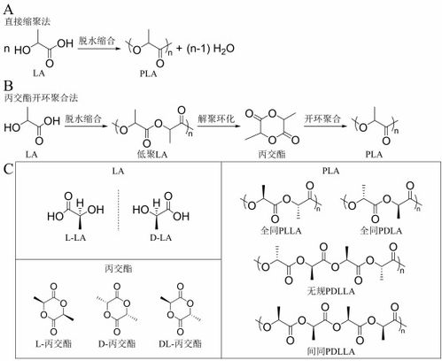 丁建勛 李鴻杰 楊佳臻 中國(guó)科學(xué)院長(zhǎng)春應(yīng)用化學(xué)研究所 新時(shí)代生物質(zhì)降解材料聚乳酸,助力綠色環(huán)保的 未來(lái)之鑰 作品展示