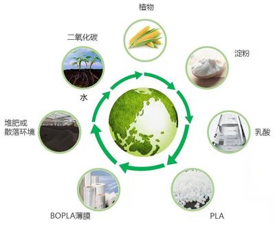 廈門長塑量產(chǎn)國內(nèi)首個生物基膜材!突破關(guān)鍵技術(shù)達到世界領(lǐng)先水平