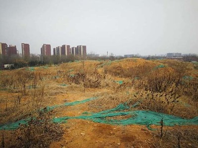 環(huán)保可降解生物基膜新材料捍衛(wèi)機(jī)場(chǎng)環(huán)境安全