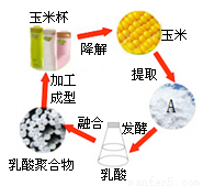 某科考小組在云南烏蒙山區(qū)發(fā)現(xiàn)了一種礦石.敲開表層發(fā)現(xiàn)里面有許多金黃發(fā)亮的晶體物質(zhì).酷似黃金.經(jīng)檢測其成分有黃鐵礦(主要是FeS2).試回答: (1)在FeS2中.硫元素的化合價為-1價.則鐵元素的化合價為 . (2)這種礦石中蘊(yùn)藏著海洋生物化石.這可為 提供有力的證據(jù). 題目和參考答案--精英家教網(wǎng)--