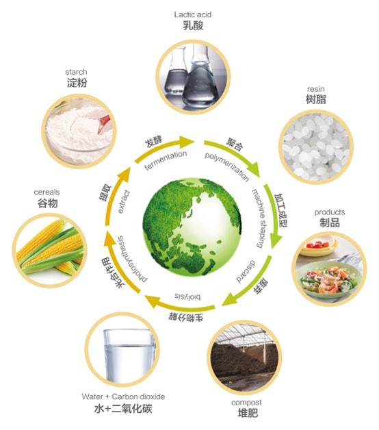 小材料,大應用 一文了解聚乳酸 pla 生物降解塑料改性技術及產業化進展
