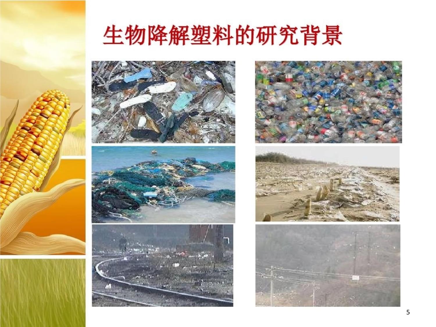 生物降解包裝材料的現(xiàn)狀與發(fā)展共課件