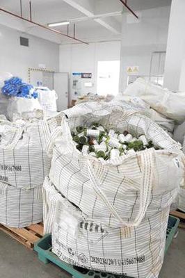 當環保與藝術奇妙碰撞 雛菊的天空探尋可持續的「自然之美」