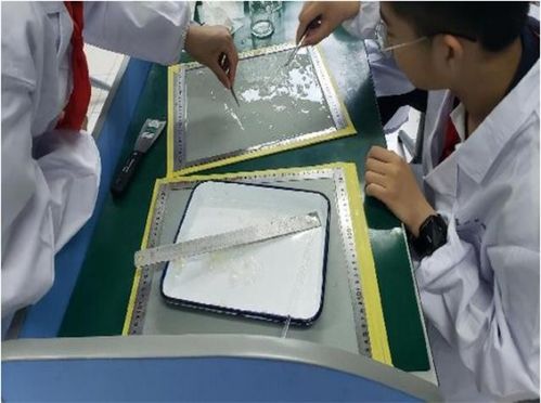 校服變變變 可降解濕垃圾袋......這些優秀作品值得一看 我為 雙碳 獻一策⑤