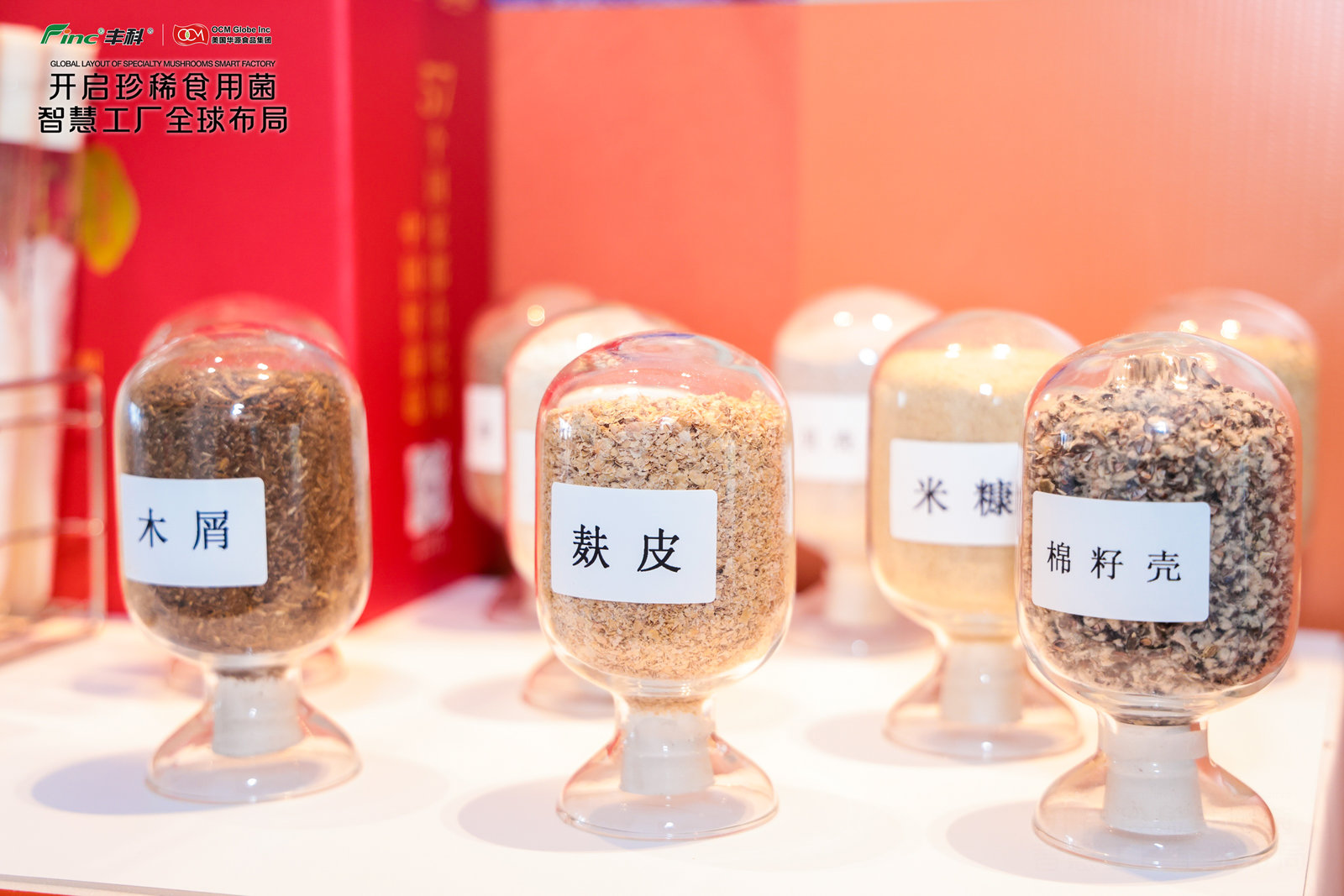 上海企業首度“出海”建食用菌智慧工廠,將填補美國本土金針菇生產空白