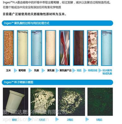 PLA淋膜紙扇形片料