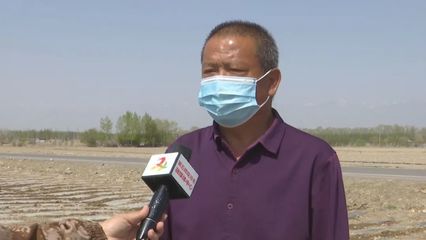 【綠色發展 生態衛士】掀起農田“綠色革命”,八十七團有妙招~