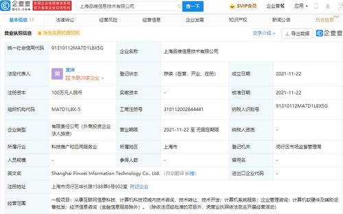 計(jì)算機(jī)信息技術(shù)咨詢服務(wù) 驅(qū)動(dòng)企業(yè)數(shù)字化轉(zhuǎn)型的核心力量