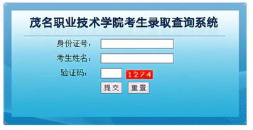 學考錄取結果陸續揭曉，信息技術咨詢服務助力考生把握未來